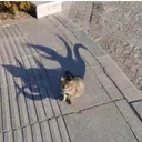 evil0knight's Blog